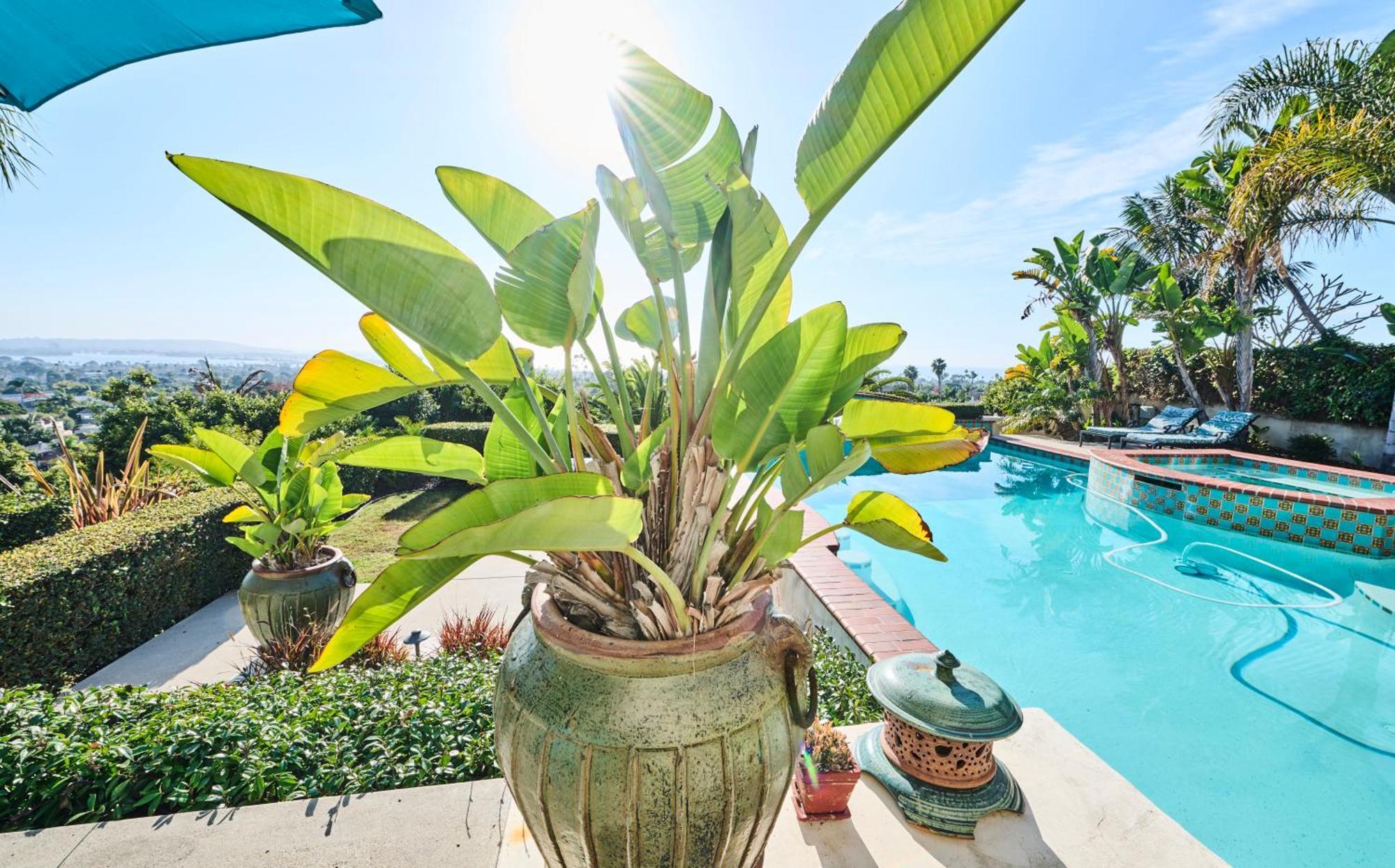 360 Degree Ocean & City Views With Pool, Spa, Close To The Beach! Pets Ok San Diego Luaran gambar